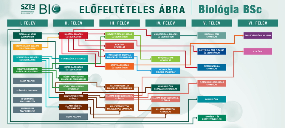 Biologia_Elofelteteles_abra_fekvo_2023_430_jpg