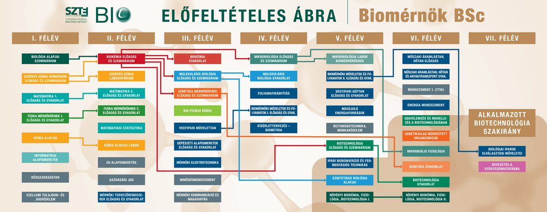 Biomernok_Elofelteteles_abra_fekvo_2023_430_jpg