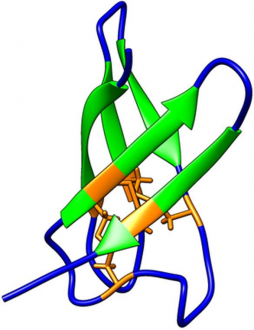 Antifungalis_protein_harmadlagos_szerkezete