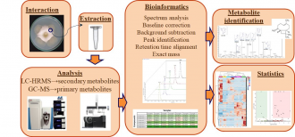 Metabolomikai vizsgálatok