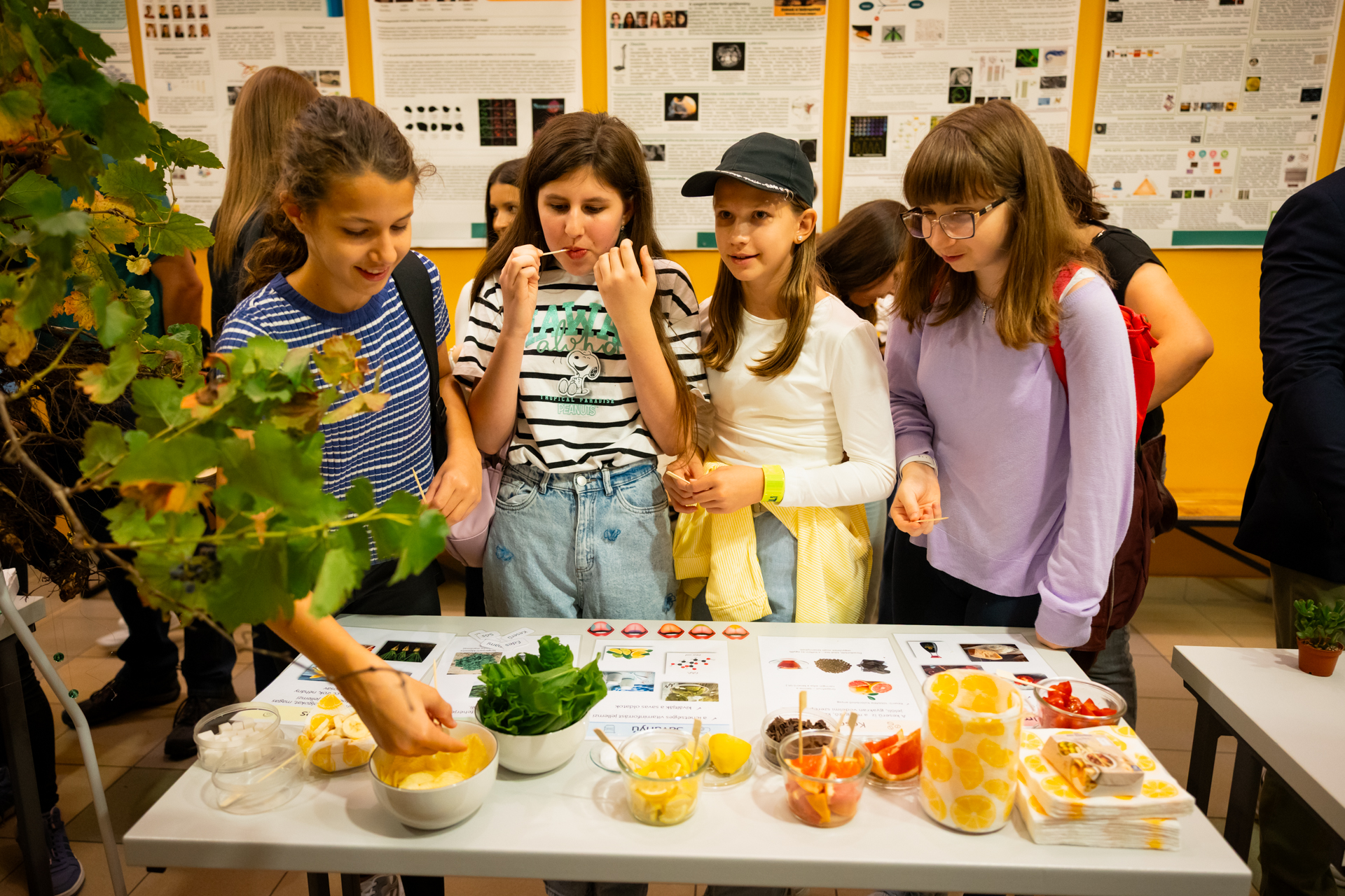 Iskolások a növényi érzékelést bemutató asztaloknál az SZTE TTIK BIológiai Intézet Növénybiológiai Tanszéke által rendezett kísérleti bemutatókon a Kutatók Éjszakáján