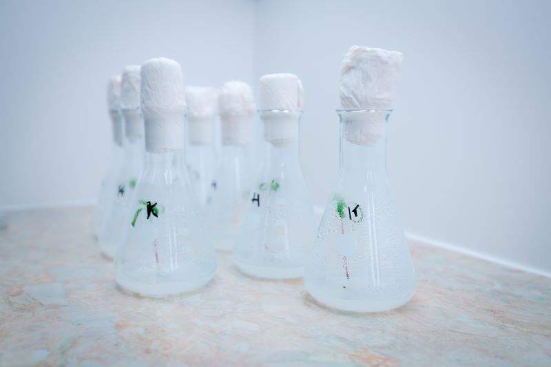 KJA-Number-1974 KJA-Number-1974