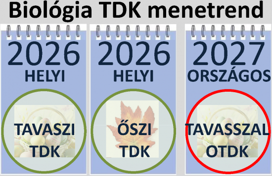 TDK_menetrend2637_Page1