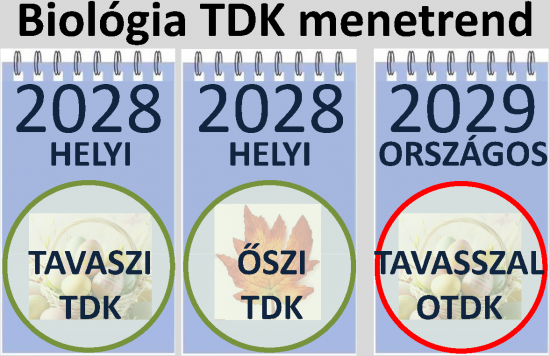 TDK_menetrend2637_Page2