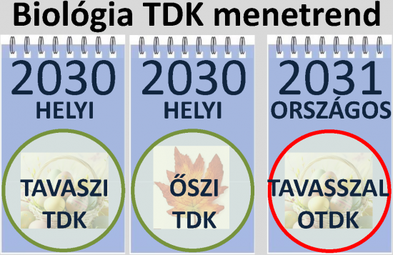 TDK_menetrend2637_Page3