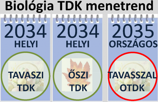 TDK_menetrend2637_Page5