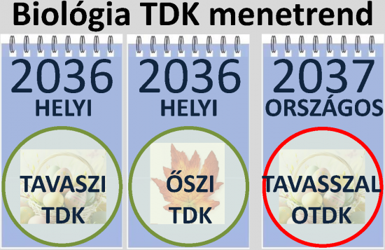 TDK_menetrend2637_Page6